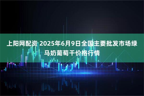 上阳网配资 2025年6月9日全国主要批发市场绿马奶葡萄干价格行情